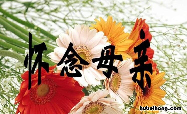 怀念逝去妈妈的话有哪些 女儿思念亡母的句子