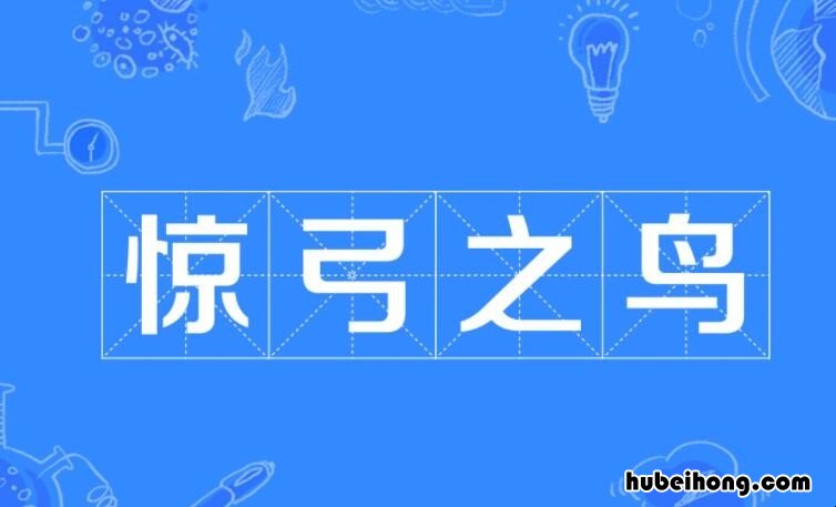 惊弓之鸟的鸟是指什么 惊弓之鸟惊指什么意思