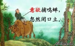 意欲捕鸣蝉出自哪首诗 意欲捕鸣蝉下一句怎么写