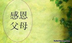 感恩父母的手抄报资料内容有哪些 感恩父母手抄报里的内容
