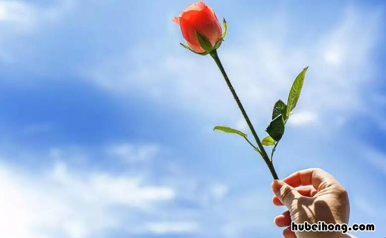 感恩相遇的唯美句子有哪些 感恩相遇的唯美句子有哪些简短