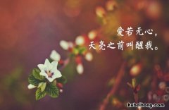 感悟人生的佛家经典语录有哪些 感悟人生的佛言