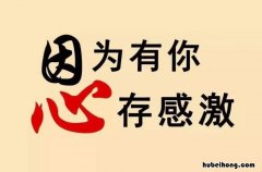 感谢朋友的句子简短有哪些 感谢朋友的句子简短精辟