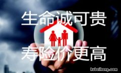 寿险的功能有哪些 寿险功能与意义真实案例