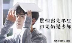 愿你出走半生归来仍是少年是什么意思 愿你出走半生归来仍是少年是什么意思