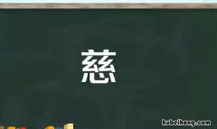 慈的组词有哪些 慈怎么组词语和拼音怎么读