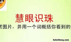 慧眼识珠什么意思 慧眼识珠什么意思