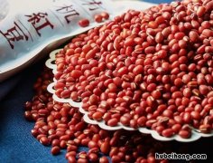 小红豆和赤小豆一样吗 小红豆和赤小豆有区别吗