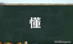 懂字组词有哪些 懂组词组词语