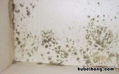 白墙上的污渍怎么去除 白墙上的油渍怎么去除掉怎么去除
