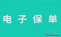 平安保险电子保单怎么查询 中国平安保险保单怎么查询