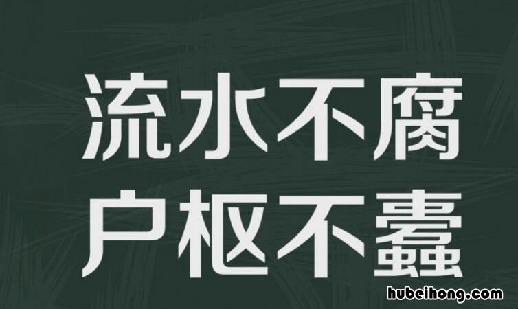 户枢不蠹上一句是什么 成语流水不腐户枢不蠹什么意思