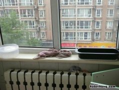 窗台下面渗水的原因有哪些 窗台底下漏水怎么回事