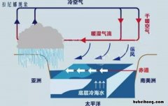 拉尼娜和厄尔尼诺的区别是什么 拉尼娜和厄尔尼诺的区别是什么呢