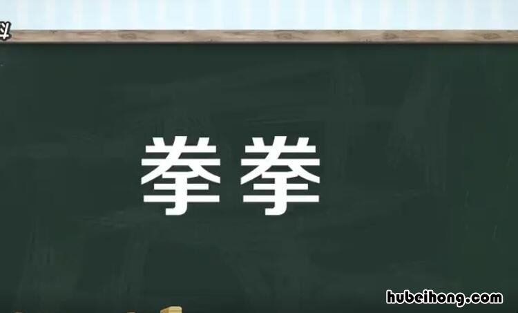 拳拳的意思是什么 拳拳在念的意思