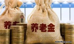 怎么查养老保险交了多少年 浙里办怎么查养老保险交了多少年