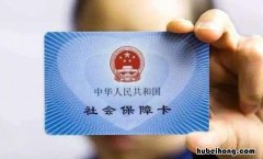 怎么看单位给自己交了多少社保 怎么查单位给自己交的社保