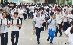 指标生是什么意思 指标生是什么