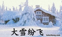 描写大雪纷飞的句子有哪些 描写大雪纷飞凄凉的场景