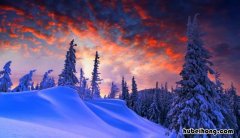 描写雪的优美句子有哪些 描写雪的优美句子有哪些短句