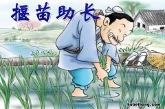 揠苗助长的意思是什么 揠苗助长的意思是什么道理是什么