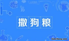 撒狗粮是什么意思 网络用语撒狗粮是什么意思?