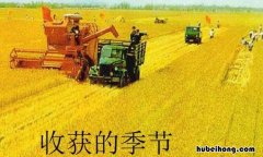 收获季节是什么时候 螃蟹收获季节是什么时候