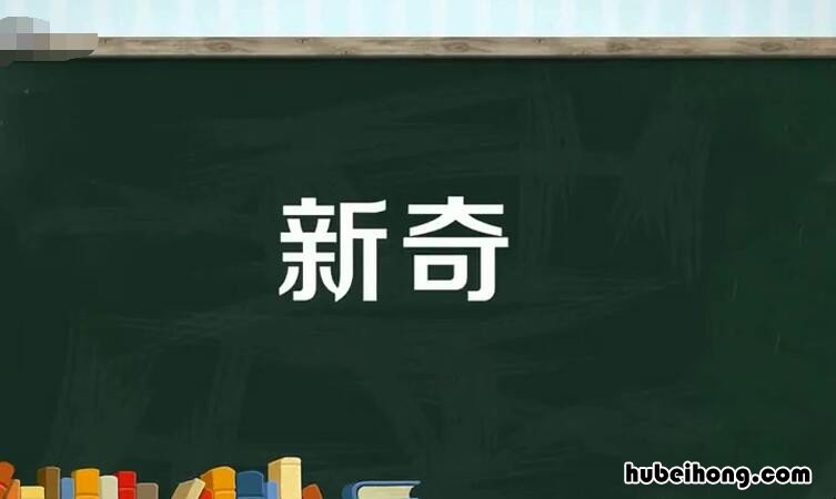 新奇的意思是什么 新奇是褒义词还是贬义词