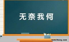 无奈我何的意思是什么 无奈我何的意思是什么解释