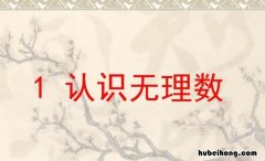 无理数是什么意思 有理数包括什么