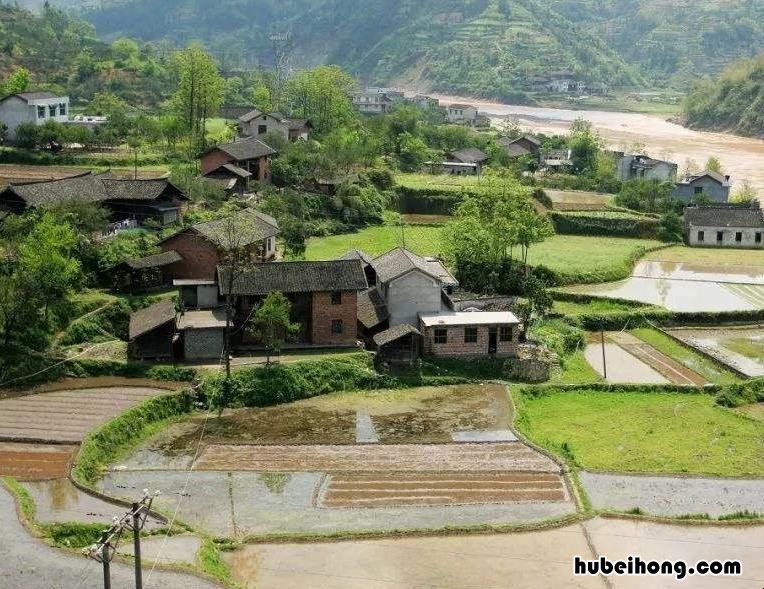 购买宅基地有哪些注意事项 买宅基地的房子需要注意什么