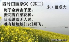 日长篱落无人过的全诗是什么 日长篱落无人过的意思是?