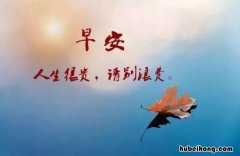 早上好的经典句子有哪些 早上好的经典语录