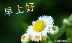 早上打招呼的幽默句子有哪些 早上打招呼的图片大全搞笑