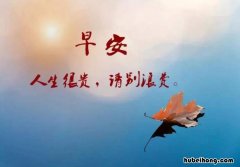 早安暖心话短句有哪些 2023年早上好的图片