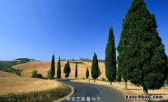 早上开晨会分享正能量的句子有哪些 开晨会分享正能量,感想怎么说