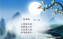 时鸣春涧中的上一句是什么 时鸣春涧中时的意思