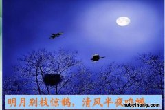 明月别枝惊鹊的下一句是什么 明月别枝惊鹊的别枝什么意思