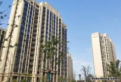购房套数认定依据是什么 住房套数的界定标准
