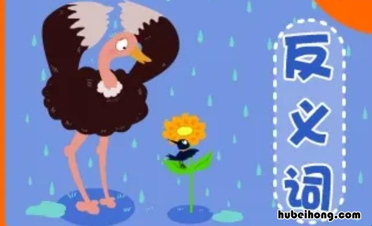 明洁的近义词是什么 明洁的近义词怎么写