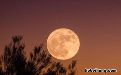 明月当空是什么意思 月圆之夜明月当空是什么意思