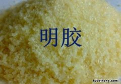 明胶怎么鉴别