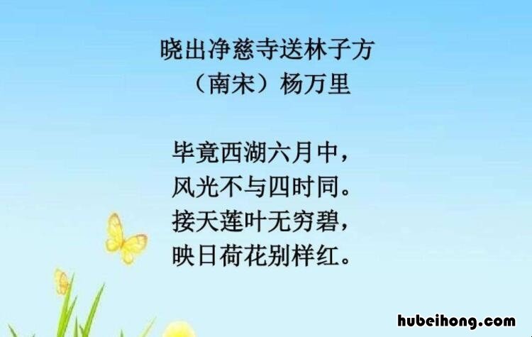 映日荷花别样红是什么季节的 映日荷花别样红是谁写的诗句