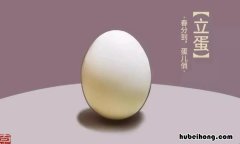 春分立蛋作文怎么写 春分立蛋的科学道理