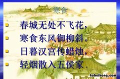 春城无处不飞花中春城的意思是什么 春城无处不飞花的春城指的是什么
