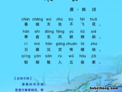 春城无处不飞花寒食东风御柳斜的意思是什么 春城无处不飞花寒食东风御柳斜的意思是什么意
