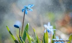 春天的雨像什么比喻句有哪些 春天的雨像什么比喻句有哪些呢一年级