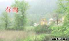 春雨像什么的比喻句有哪些 春雨像什么三年级上册