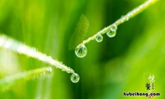 春雷响万物长的意思是什么 春雷动,万物长