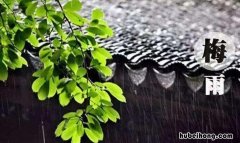 梅雨季节一般持续多久 梅雨季节一般要多久